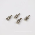 Customized Small Sems Screw With Special Sping